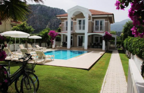 Отель Dalyan Villa Amazon  Дальян